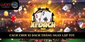 cách chơi xì dách